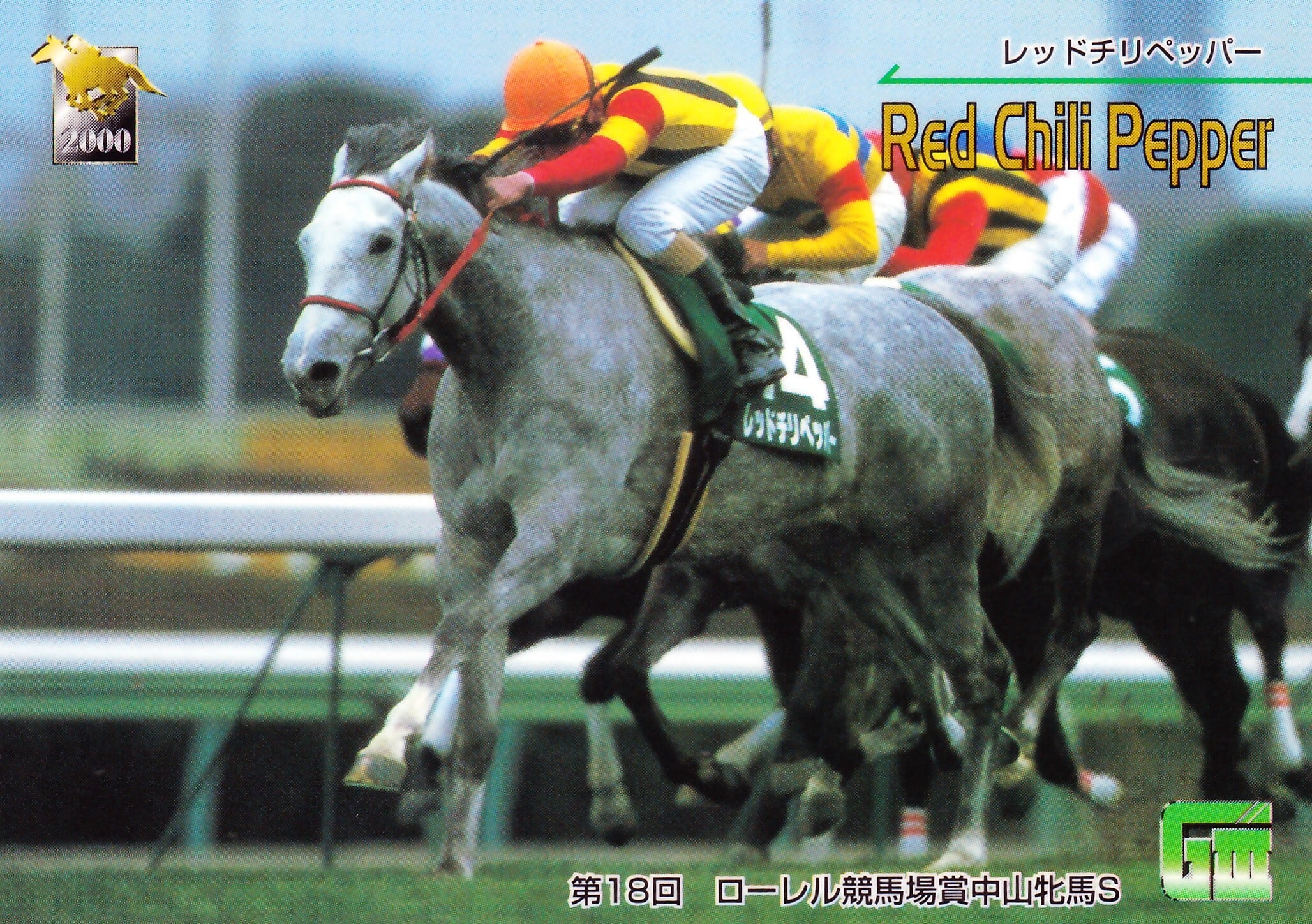 ナリタブライアン：第54回 皐月賞「サラブレッドカード 00年上半期