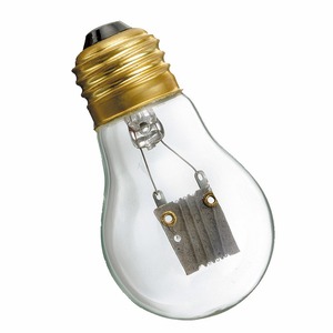 【マルカン】　保温電球20W