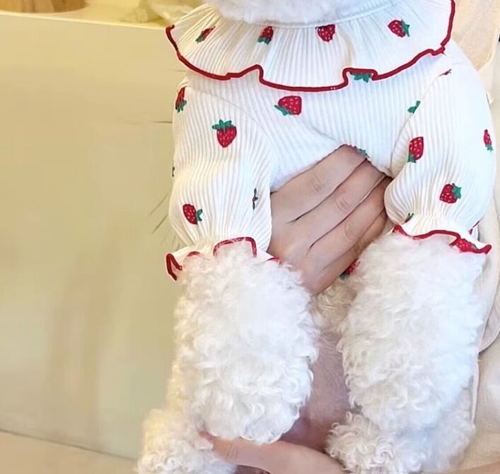 ドッグ 犬 小型犬 室内着 シャツ フレア 細身 フリル 襟付き 袖付き いちご ふりふり ひらひら 薄手 かわいい きれいめ シンプル おしゃれ レトロ ルーズ 個性的 主役級 存在感 ラブリー キュート プリンセス フェアリー シンプル シック フルーツ柄 夏 サマーシーズン 女の子 成犬 デート お出かけ お泊まり パーティー イベント 旅行 公園 休日 バカンス カフェ 庭 ガーデン 散歩 室内 おうち お揃い 双子 コーデ XS S M L 2XL ホワイト ピンク