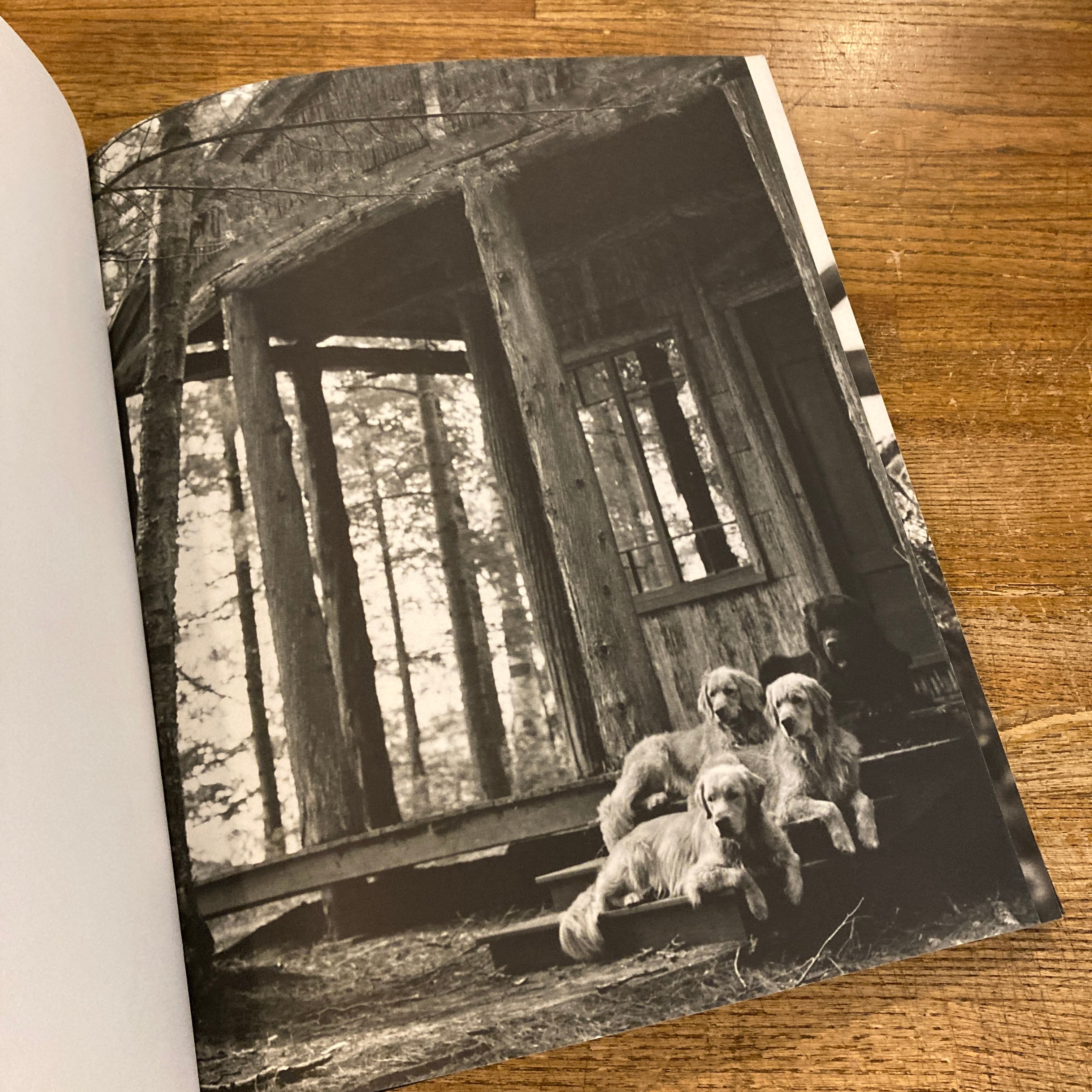 Gentle Giants: A Book of Newfoundlands / Bruce Weber | 百年