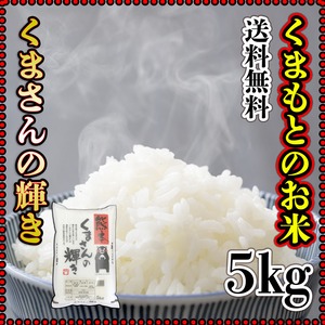 お米 米 5kg 白米 送料無料 熊本県産 くまさんの輝き 新米 令和5年産 5kg1個 くまモン くまもとのお米