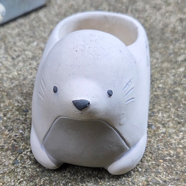 アザラシpot