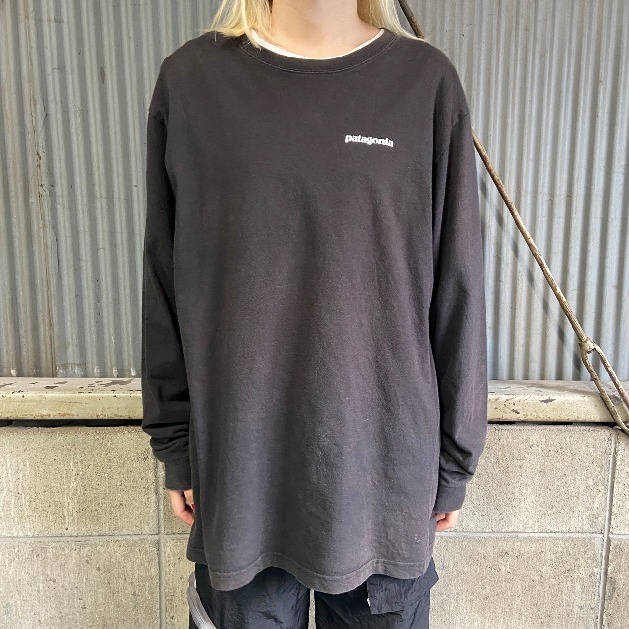 patagonia パタゴニア 胸ロゴ バックプリント ロングTシャツ ロンT 
