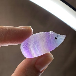 5.フローライトハリネズミさんの住処・~ハリーさんの休憩所~