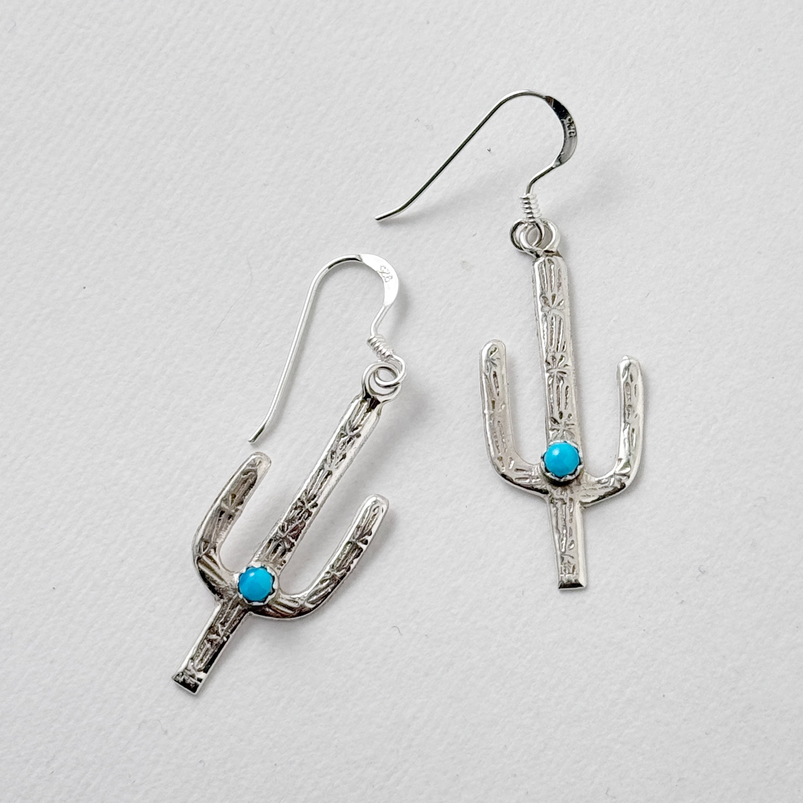 《Indian Jewelry》サボテン ピアス