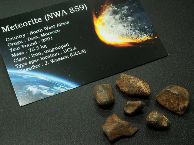 Taza（タザ）隕石【NWA 859 】【24.7g】モロッコ王国タザ州産/鉄隕石/meteorite