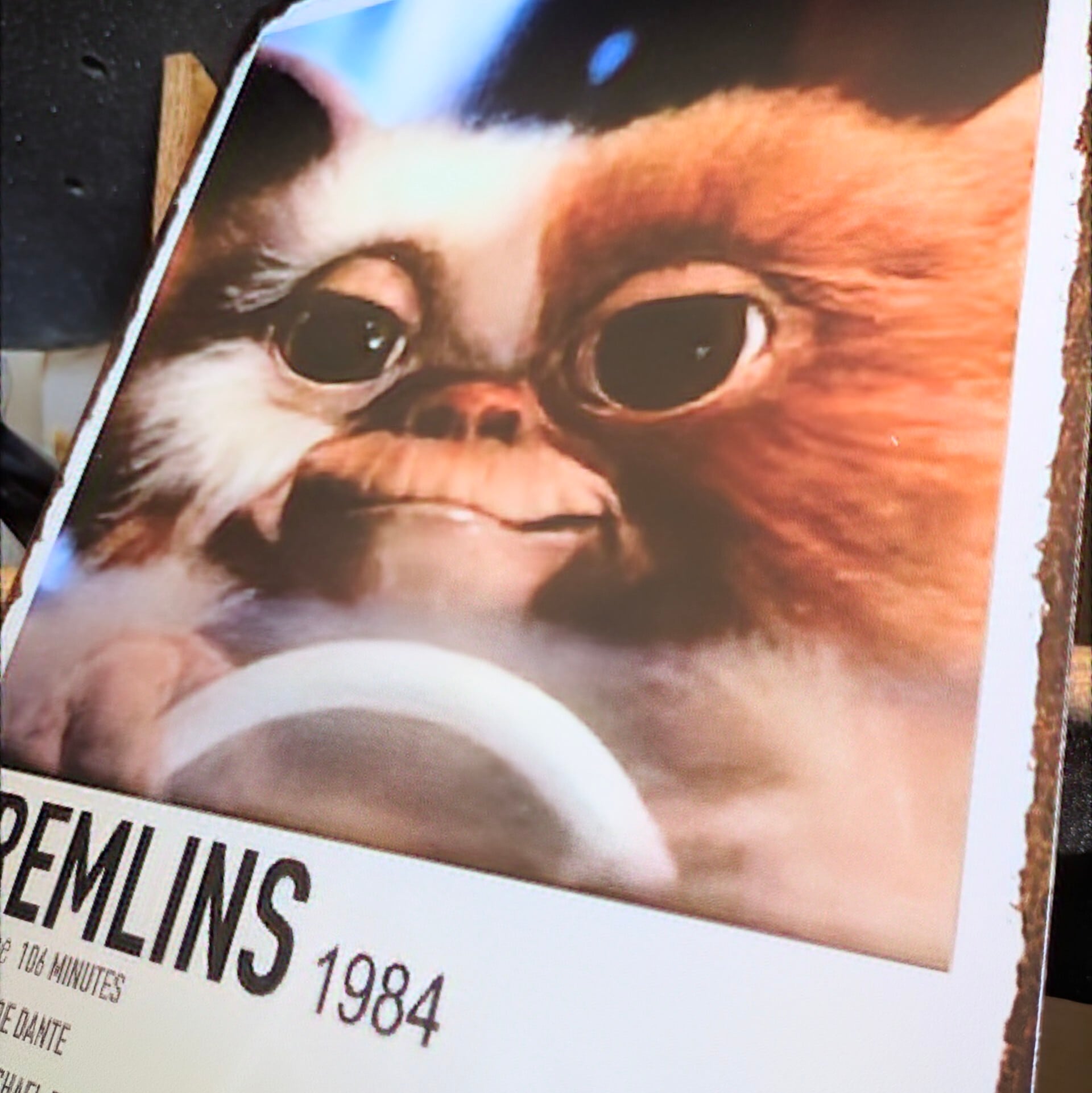 送料無料！ちょうどいいブリキ看板【 Gremlins （ グレムリン ）】 ギズモ 運転 / METAL SIGN / メタルサイン / ブリキ看板 / サインボード / ビンテージ加工 〚アメリカン雑貨 アメトイ〛