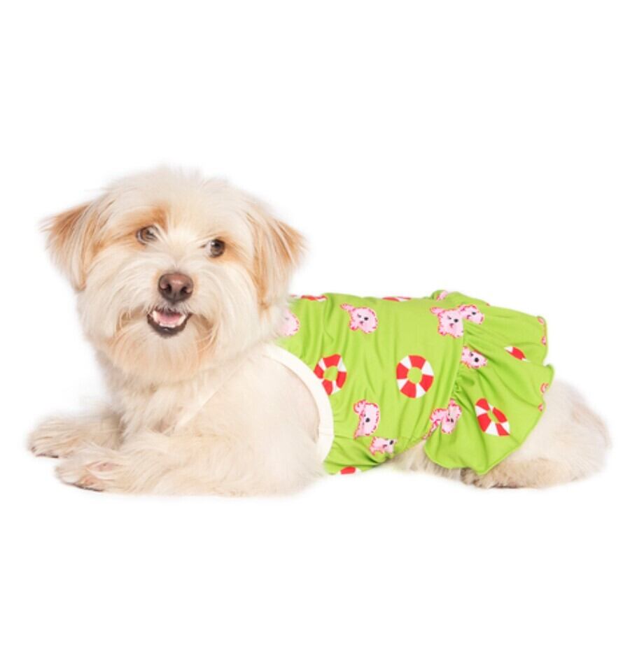 予約【noonoosoom】noonoo buddy FAN Dress (Green)