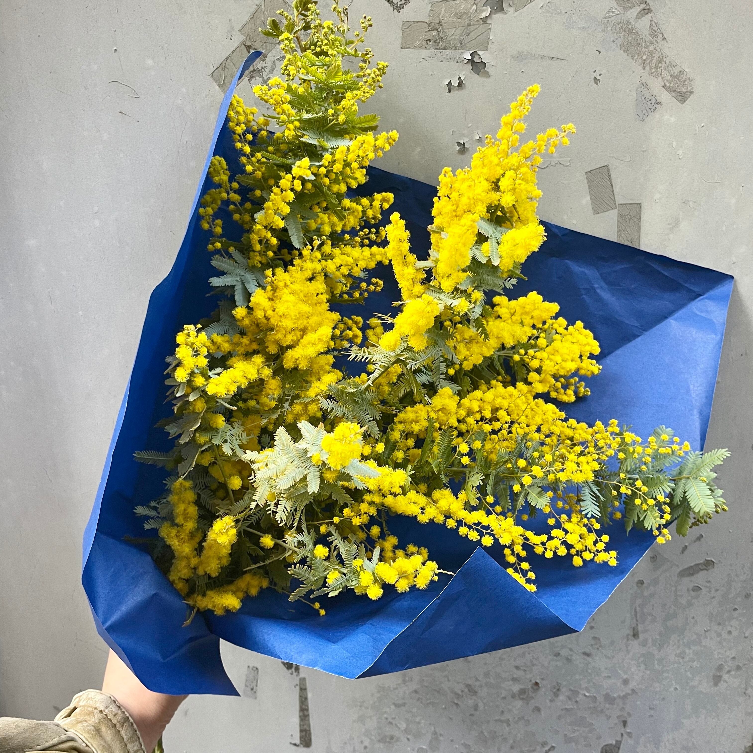 数量&期間限定ミナヅキのドライフラワーブーケ スワッグ | ハルカゼ