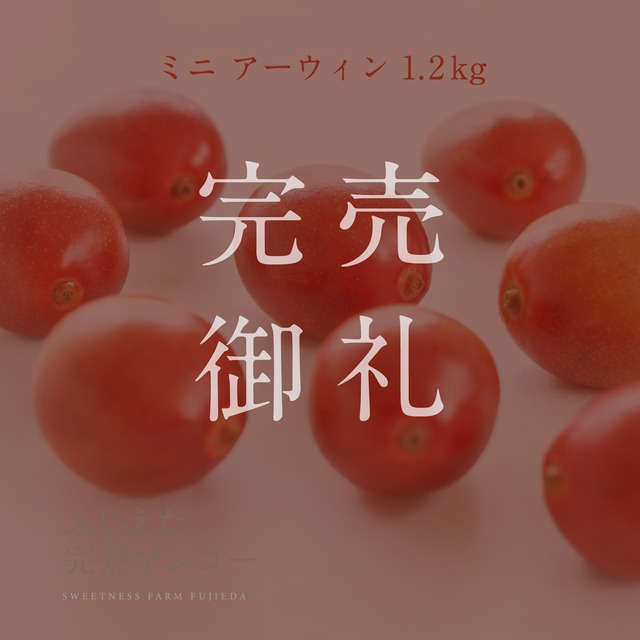 【ミニマンゴー】キング・アーウィン1～1.2kg