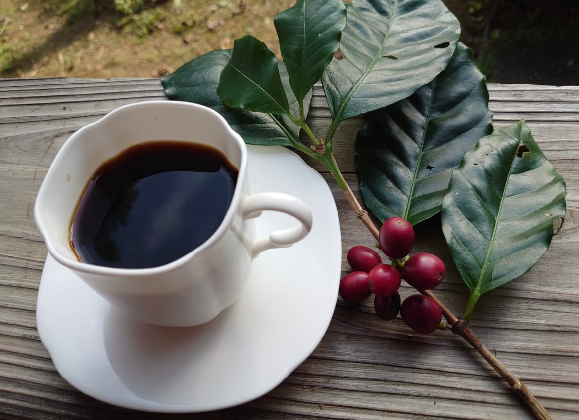 沖縄産ブレンドコーヒー LIGHT &FRUITY 中山コーヒー園 ドリップ