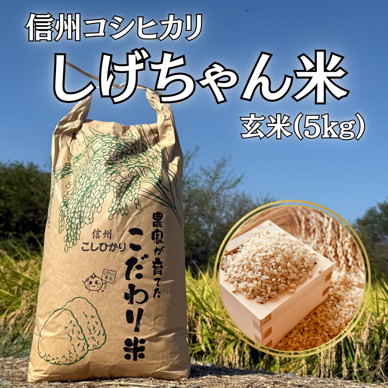 しげちゃん米_コシヒカリ（玄米5kg） | しげちゃん米（農家直送