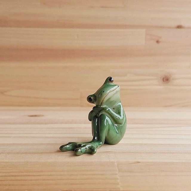 カエル 体育座り？お山座り？三角座り？ | shoprahu