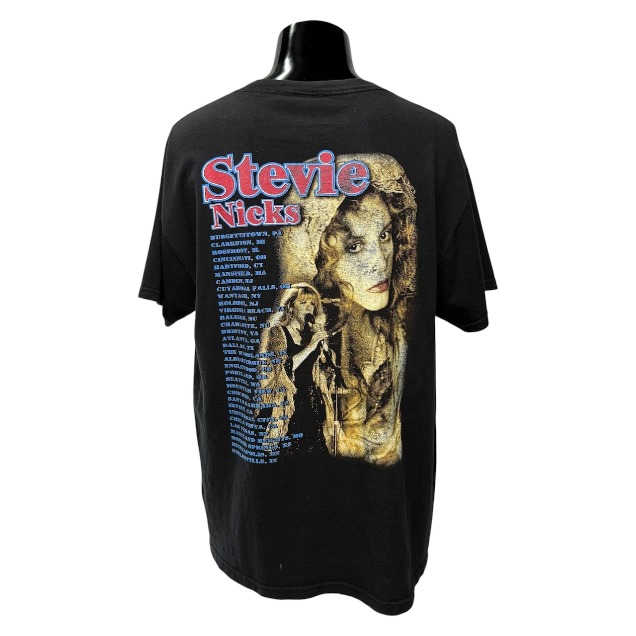 【STEVIE NICKS】スティーヴィー・ニックス "TROUBLE IN SHANGRI-LA TOUR" 00's Vintage RAPTeeデザイン Tシャツ