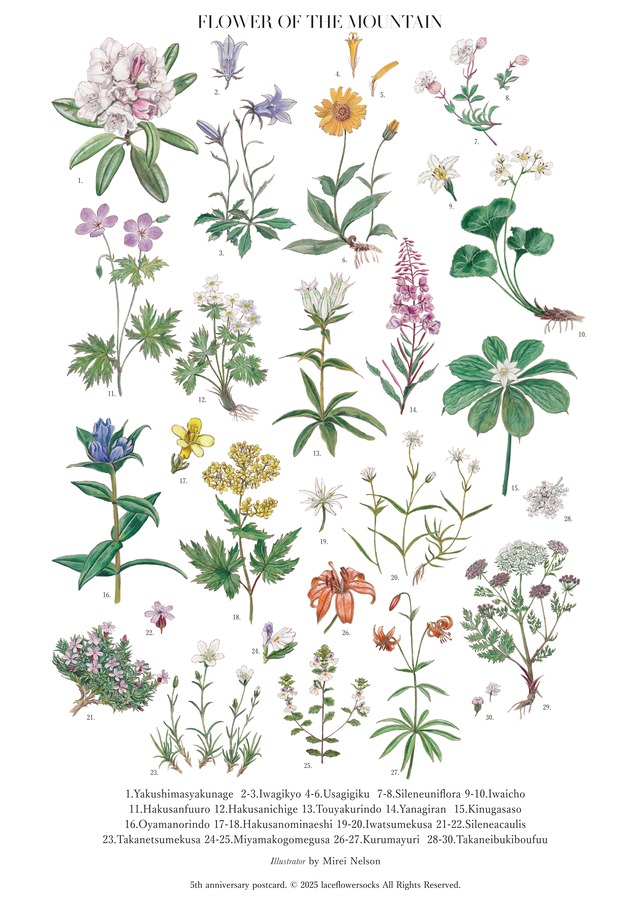 5th Anniversary book "FLOWER OF THE MOUNTAIN"
