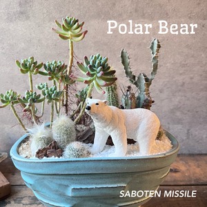 Polar Bear Blue