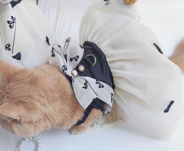 《予約》3101504 モノクロレースワンピース