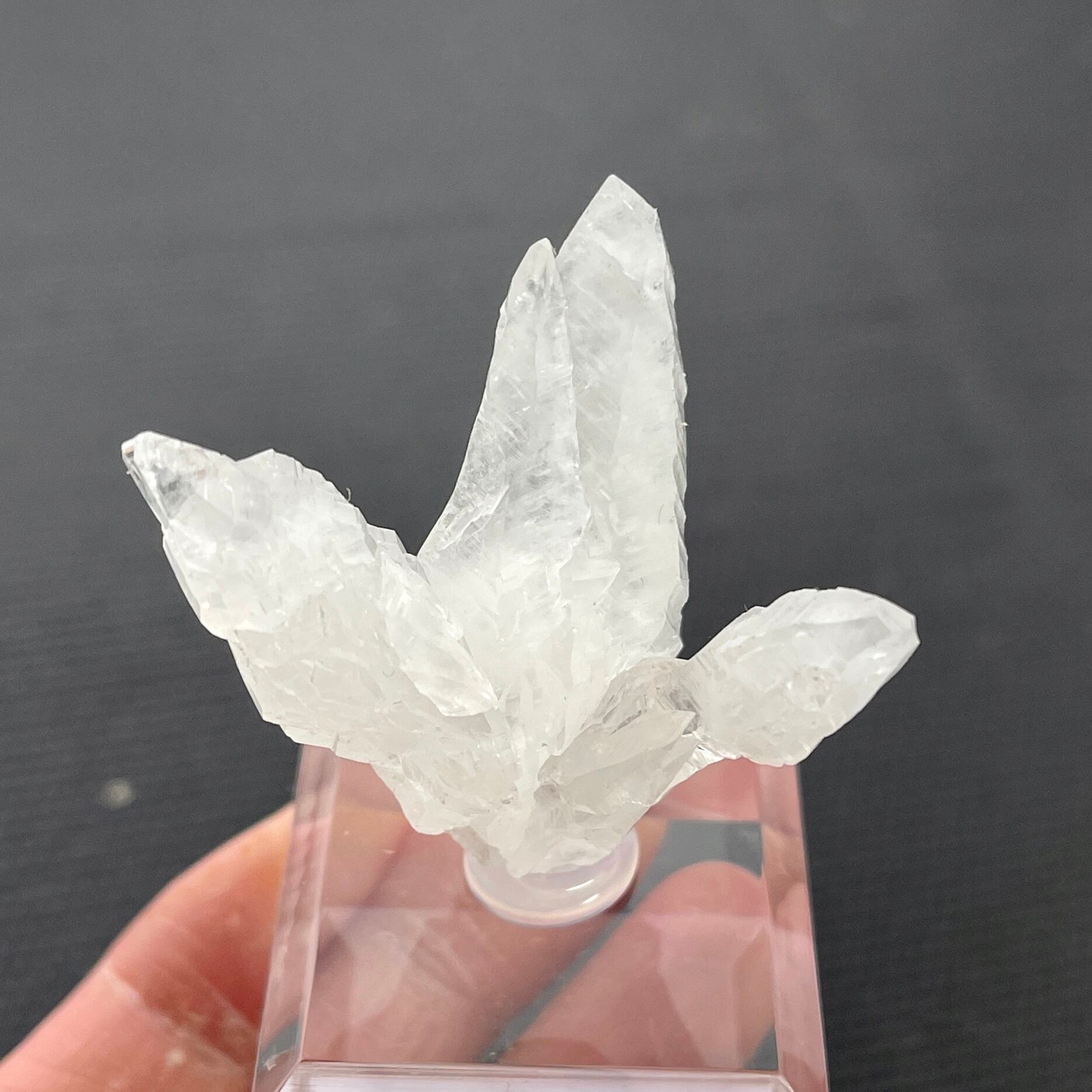 アラゴナイト【Aragonite】メキシコ産 | PEANUTS MINERALS