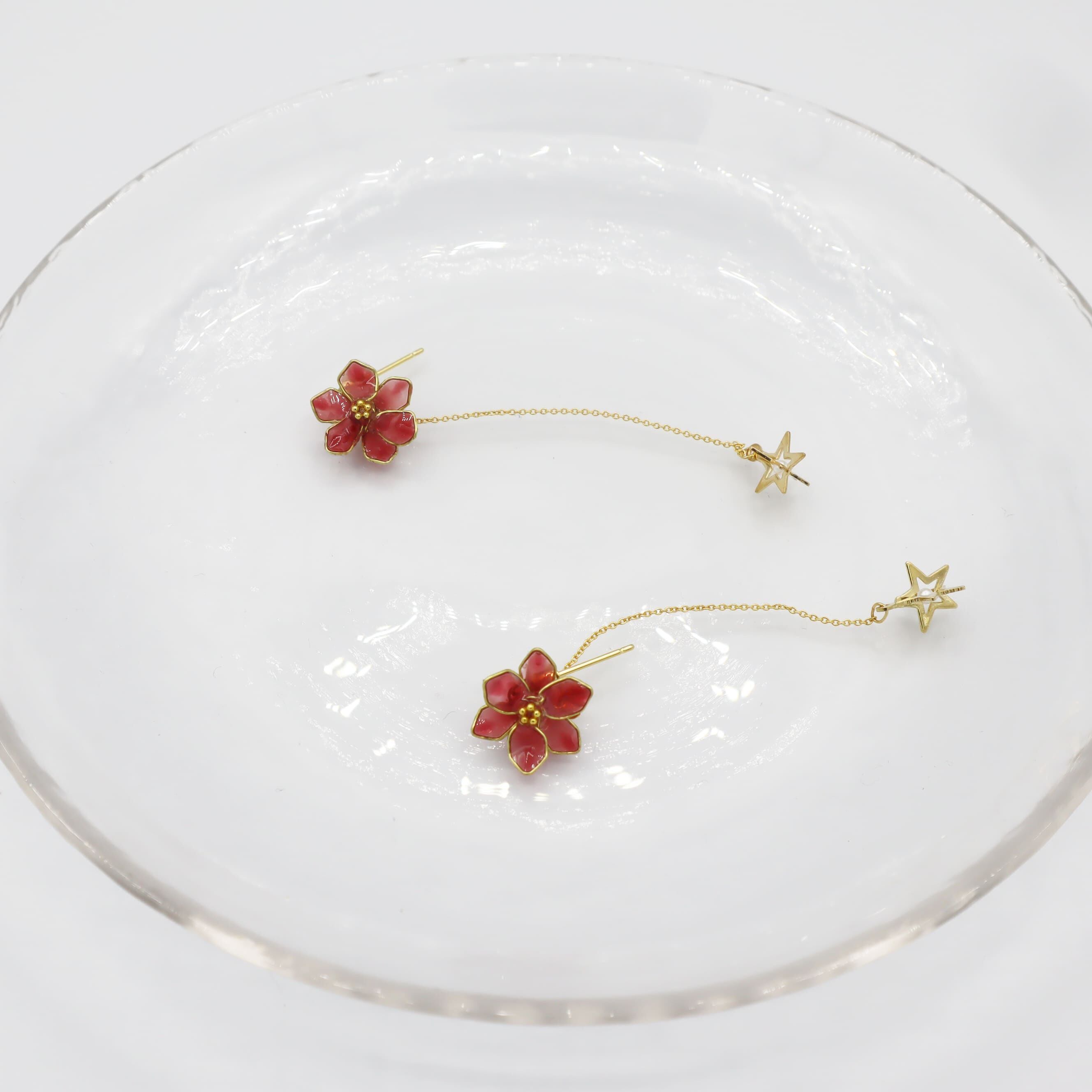 star flower（red）