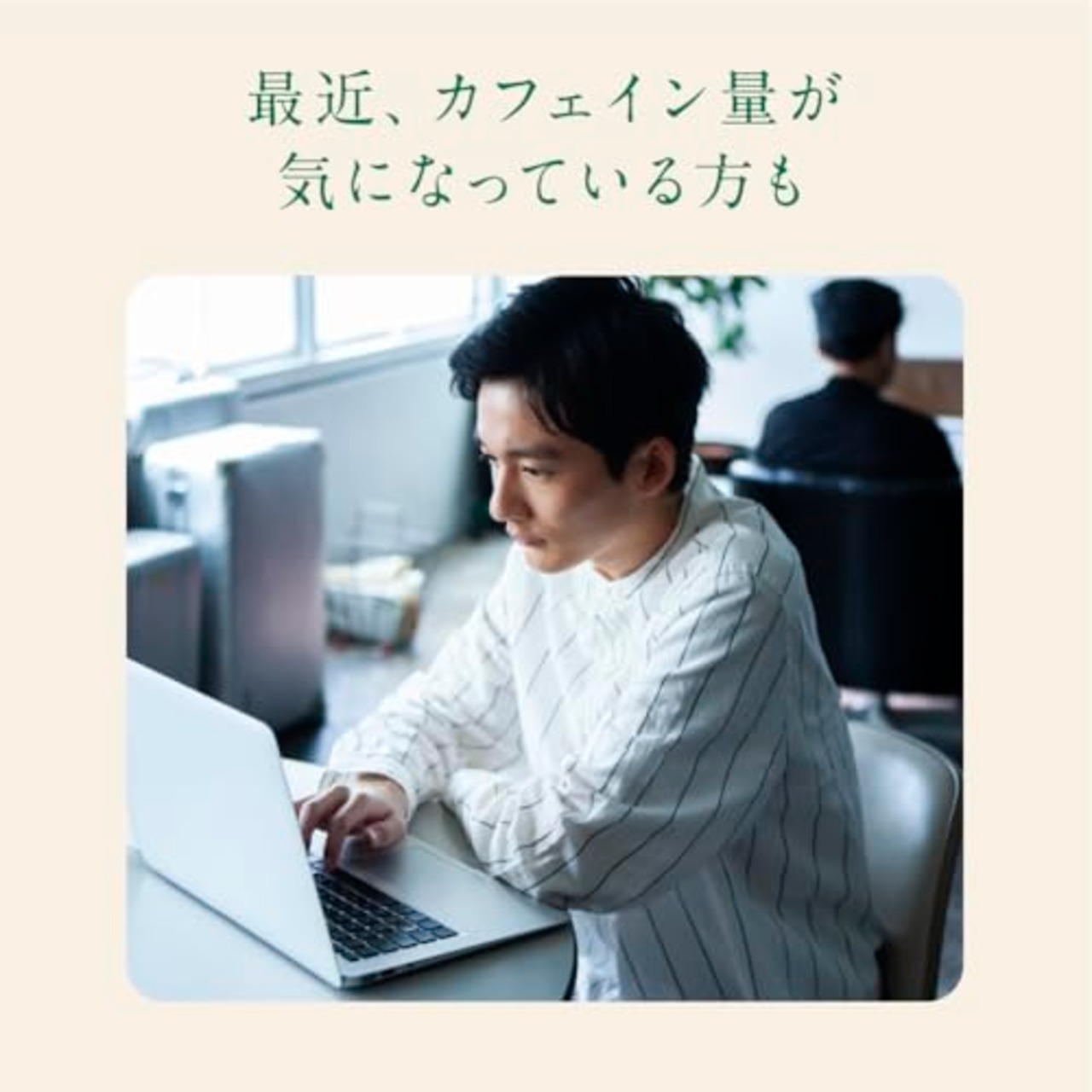 キリン 生茶 おいしい カフェインゼロ 430ml 24本 お茶 緑茶 無糖茶 ペットボトル ノンカフェイン カフェインレス