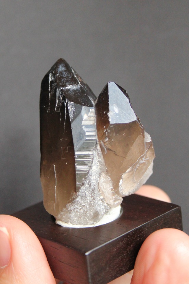 【2103】宮崎スモーキー ローズウッドベース大