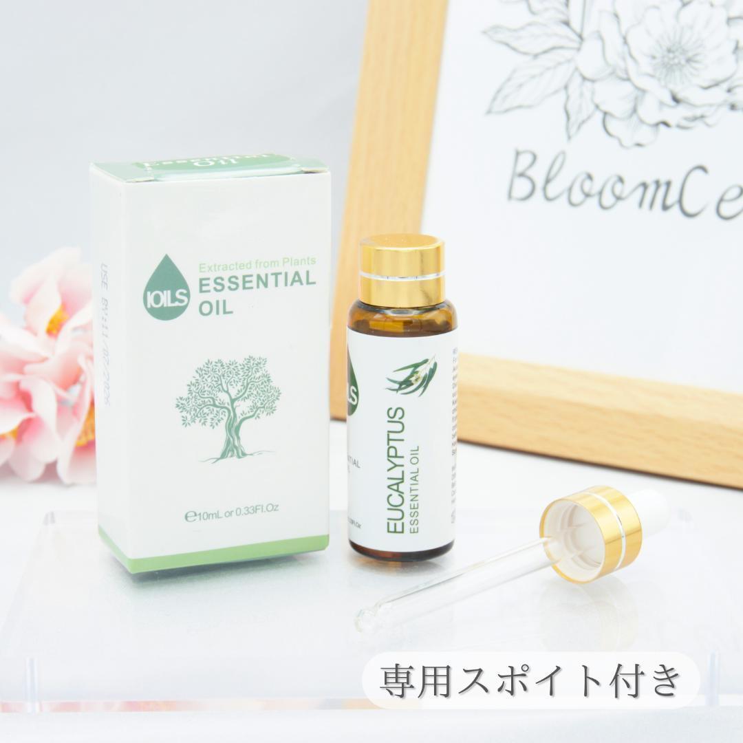 希少100%ナチュラルユーカリオイルお値下げしました！ 100% ピュア ナチュラル エッセンシャルオイル ユーカリ 精油 アロマ