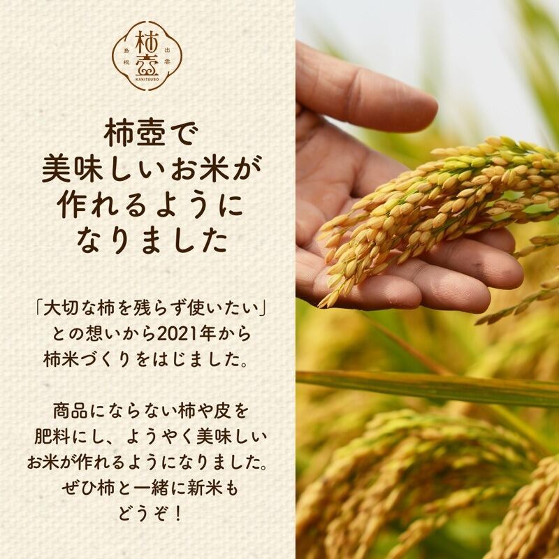 予約・11月発送】【2026年産】吊るし柿用西条柿 L 48玉（7.5kg