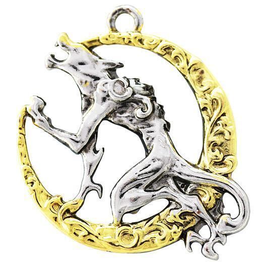 PeterS: Wizardry Symbol silver あやし pendant