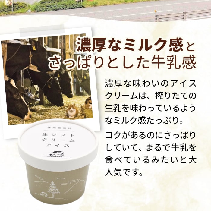 生ソフトクリームアイス・8個(a31-8) | 四季彩マルシェ！山村ファーム