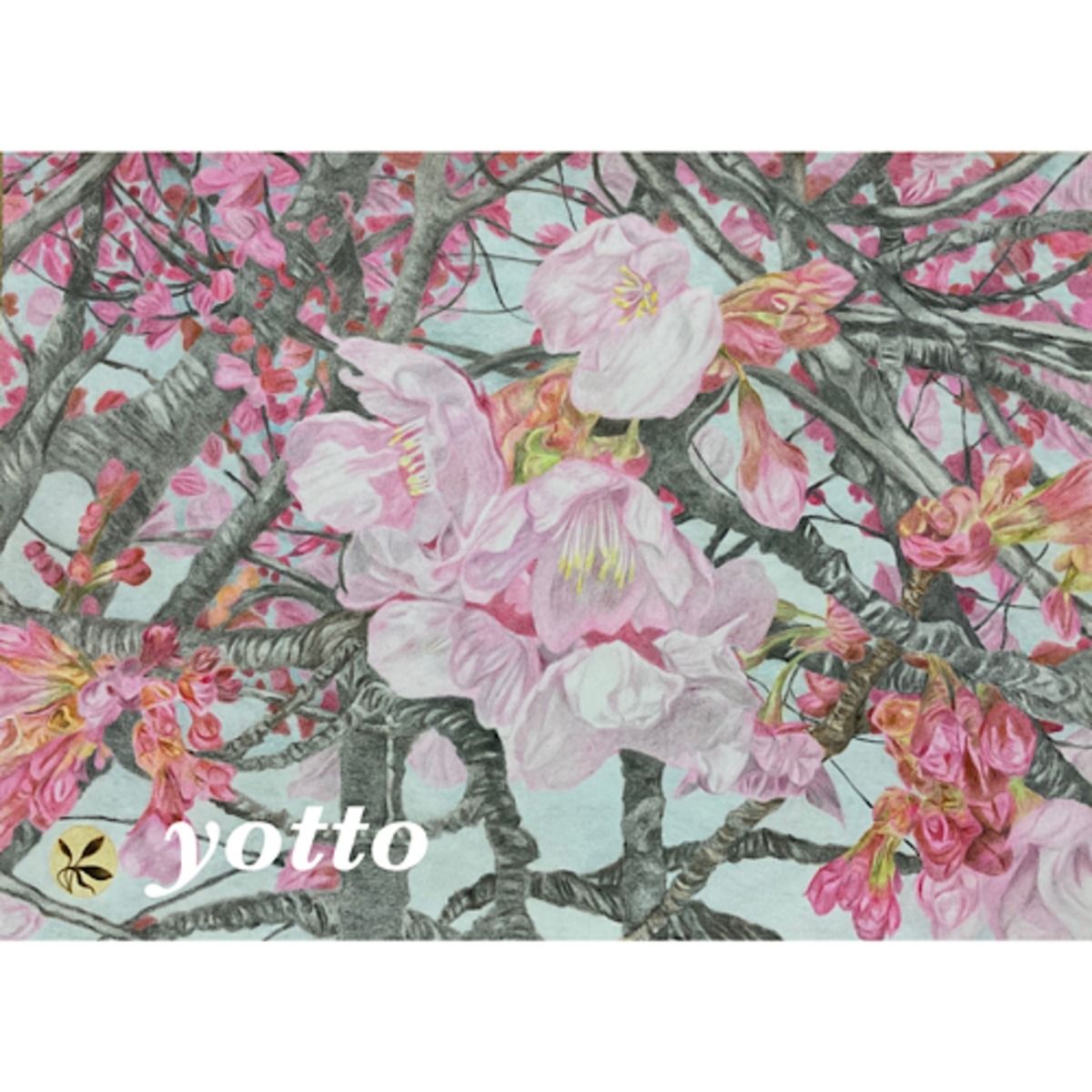 桜、咲く 」 | yotto's gallery【 色鉛筆画 】