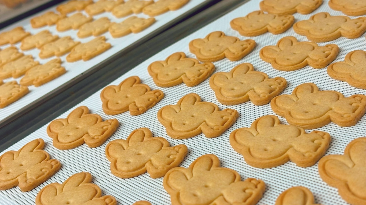 ブランちゃんだったもの