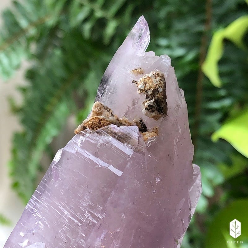 ベラクルス・アメジスト （ビッグサイズ） | BIZEN Crystals