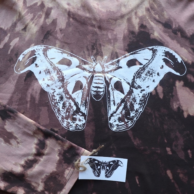 KEMURINOBAKE × SPARROWS