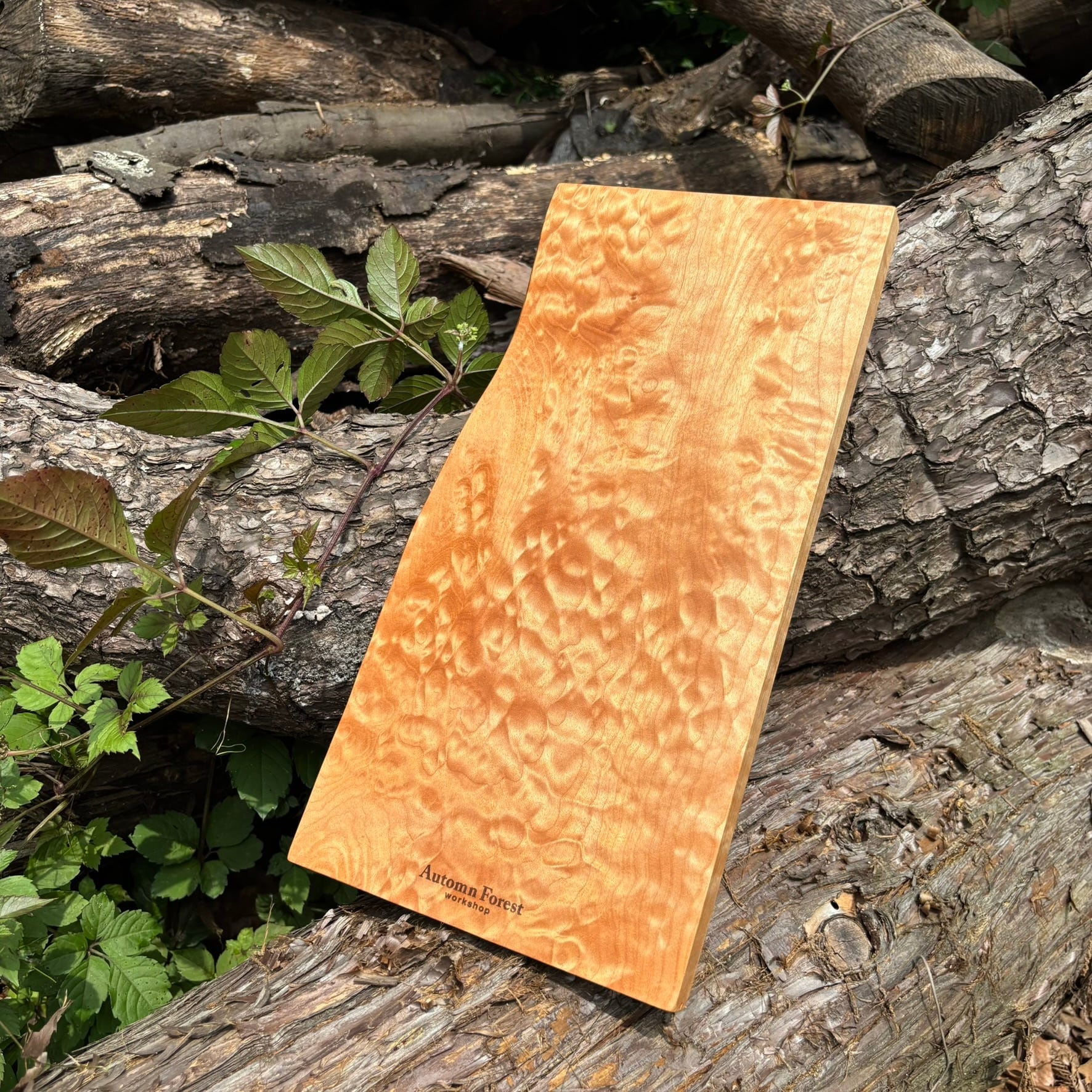 fac69bad91a3e93f5277e6d34f49c2