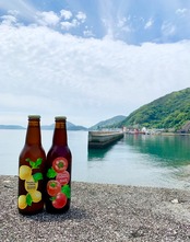 MICHISHIO BREWING Saison Tomato　330ml