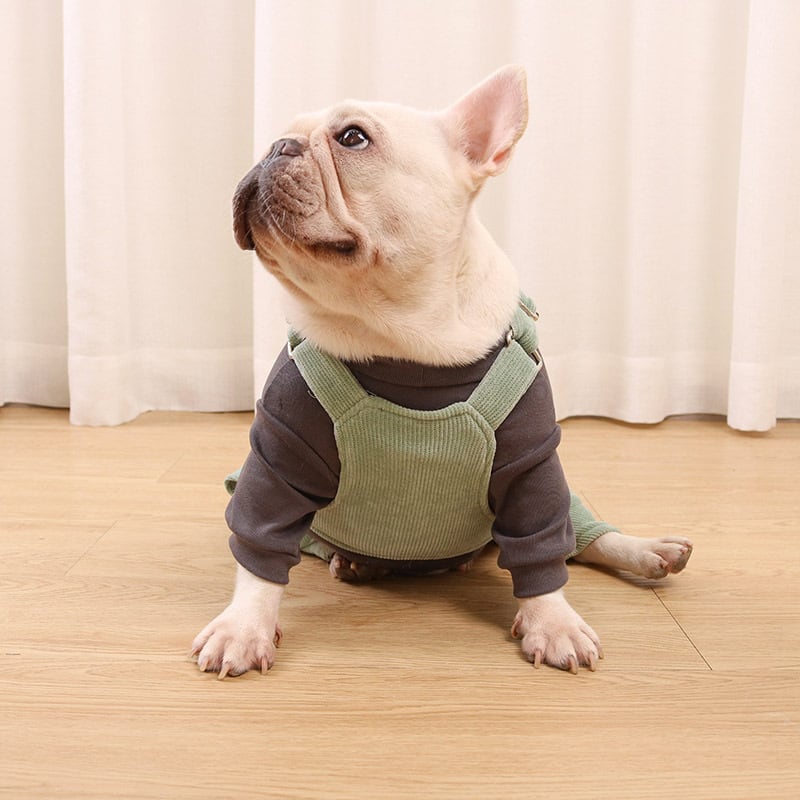 犬服 ペットウェア 白 デイリーTシャツ 万能T－シャツ 綿 フレブル