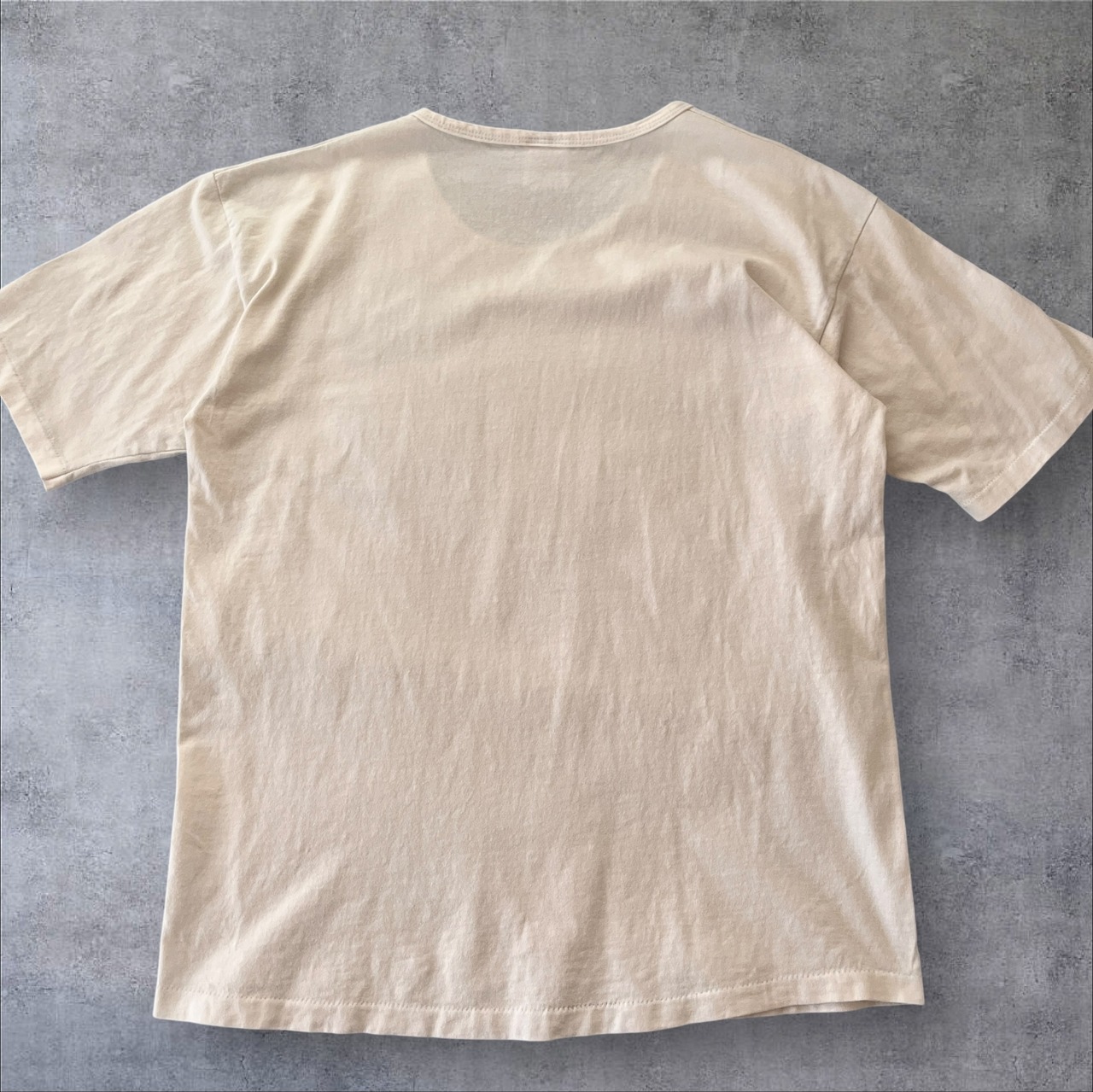 90s anvil “Michigan Cottage” Graphic Tee