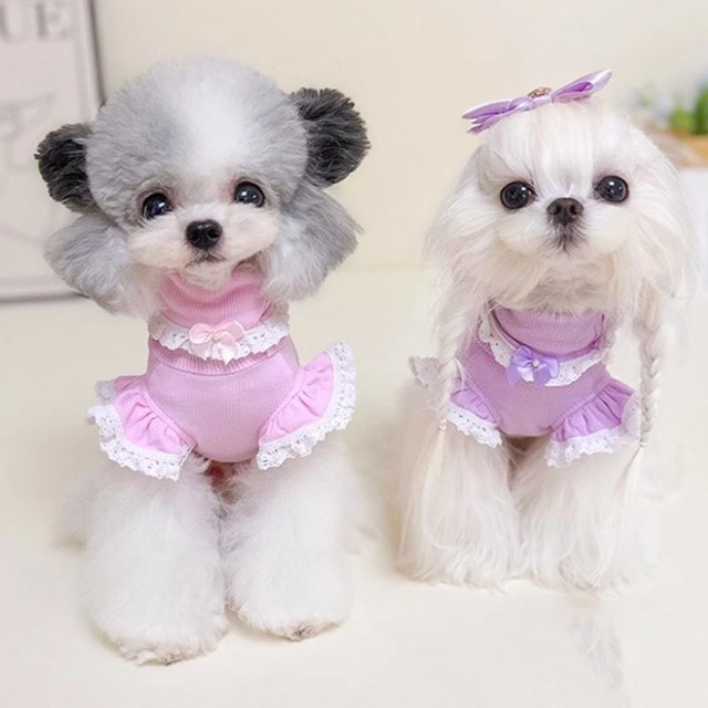 エレガントレースのハイネックカットソー　犬服　00681