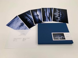 限定ポートフォリオボックス「2020 Blue Ink Collection」【限定品】
