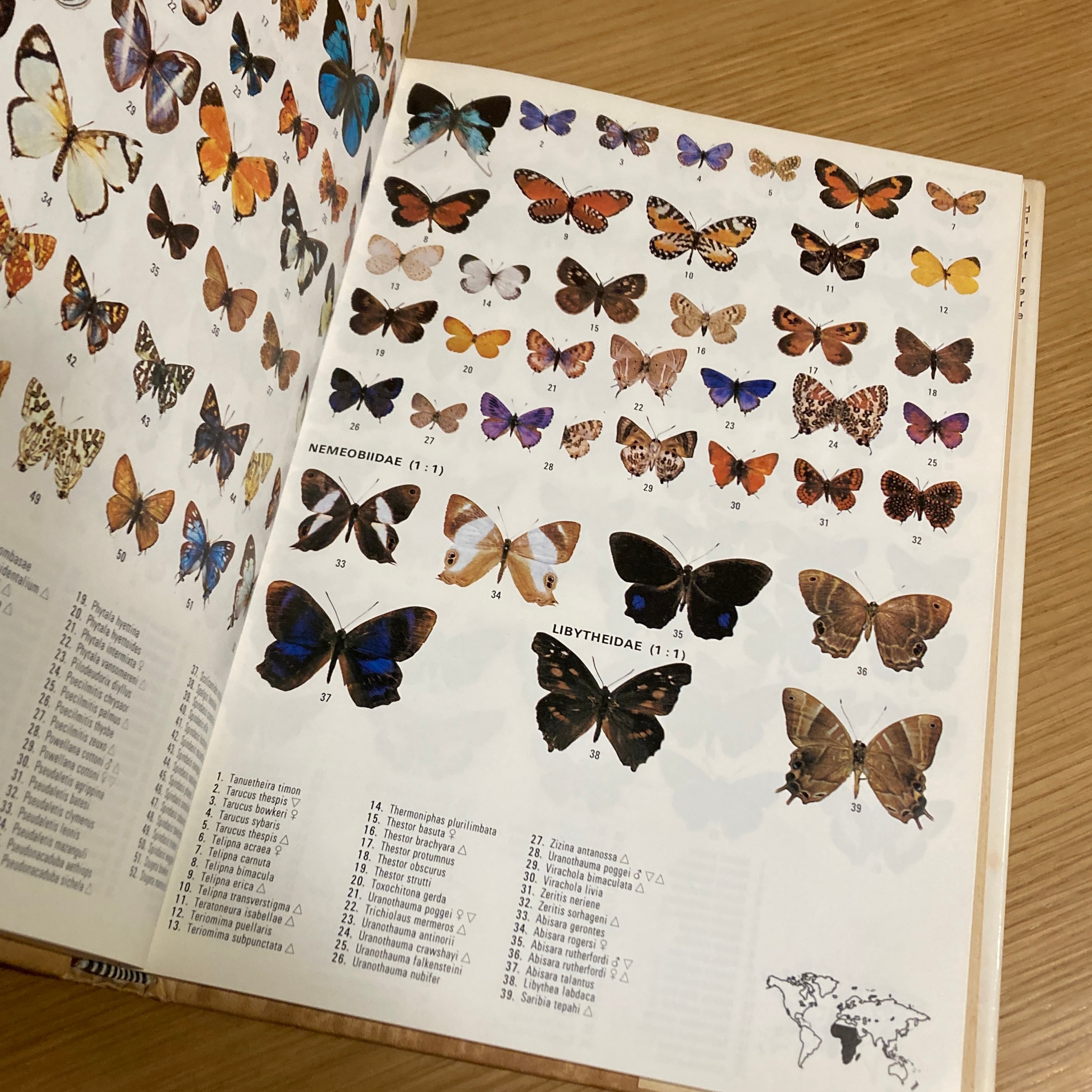 Butterflies of the World / H. L. Lewis | 百年