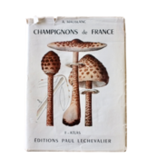 フランスヴィンテージ 1959s キノコ図鑑 Champignon de France