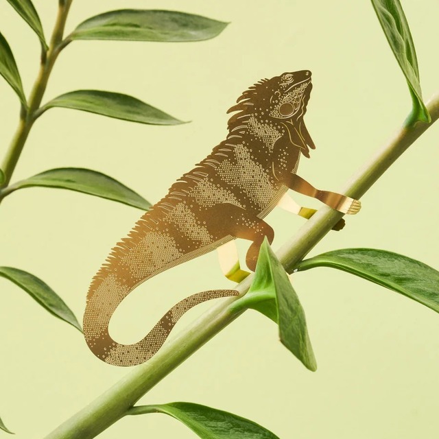 Plant Animal Iguana (Large) イグアナ