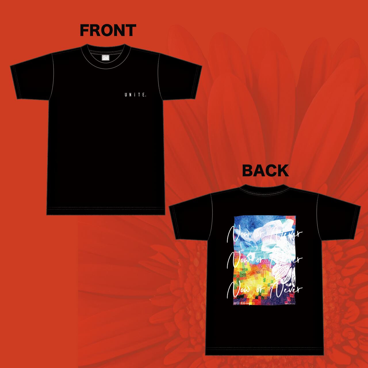 ユナイト　キャンゼル　ハク　チェキ22枚 ユナイト キャンゼル ハク 直筆コメント入りチェキの通販 by