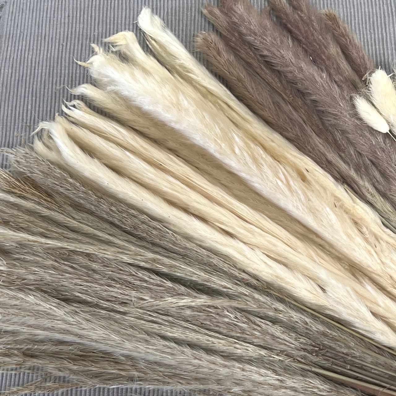 ドライフラワースワッグ＊80pcs | MeROOM