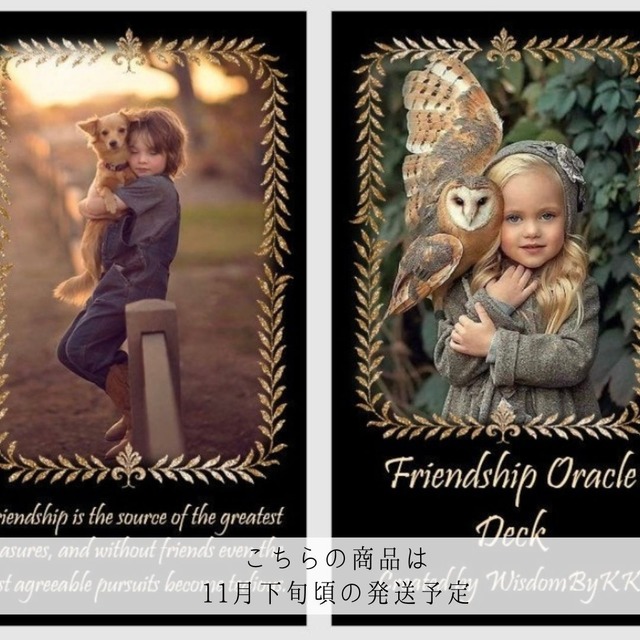 【1点入荷　11月下旬頃の発送】FRIENDSHIP ORACLE CARDS ◆ フレンドシップオラクル いろんな形の友情