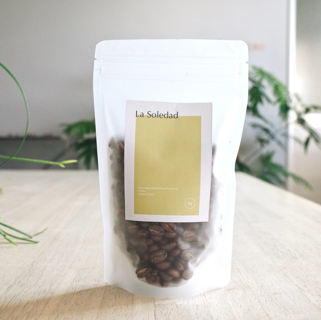 コーヒー豆 100g / Guatemala Finca La Soledad Geisha