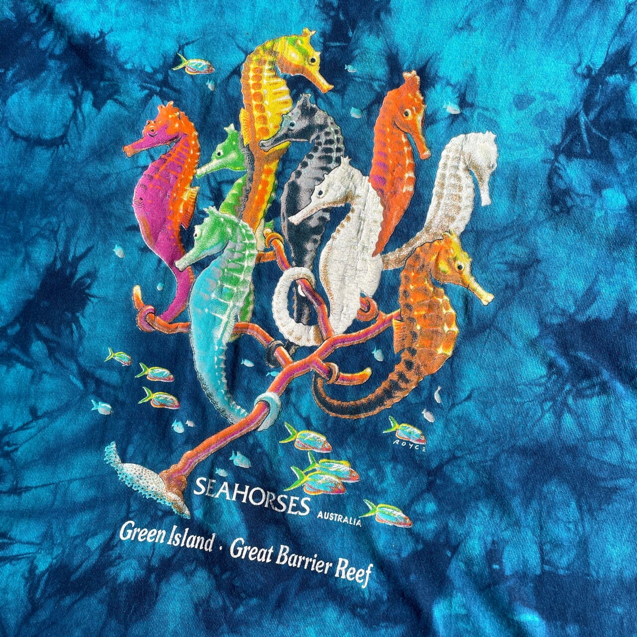 オーストラリア製 タツノオトシゴ アニマルプリントTシャツ メンズM