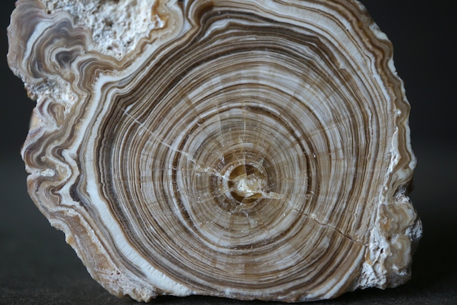 モロッコ産カルサイト/アラゴナイト Calcite / Aragonite 1640