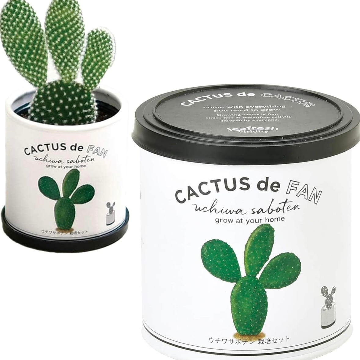 ウチワサボテン 育成キット（サボテン入りグリーン抹茶スティック 1本