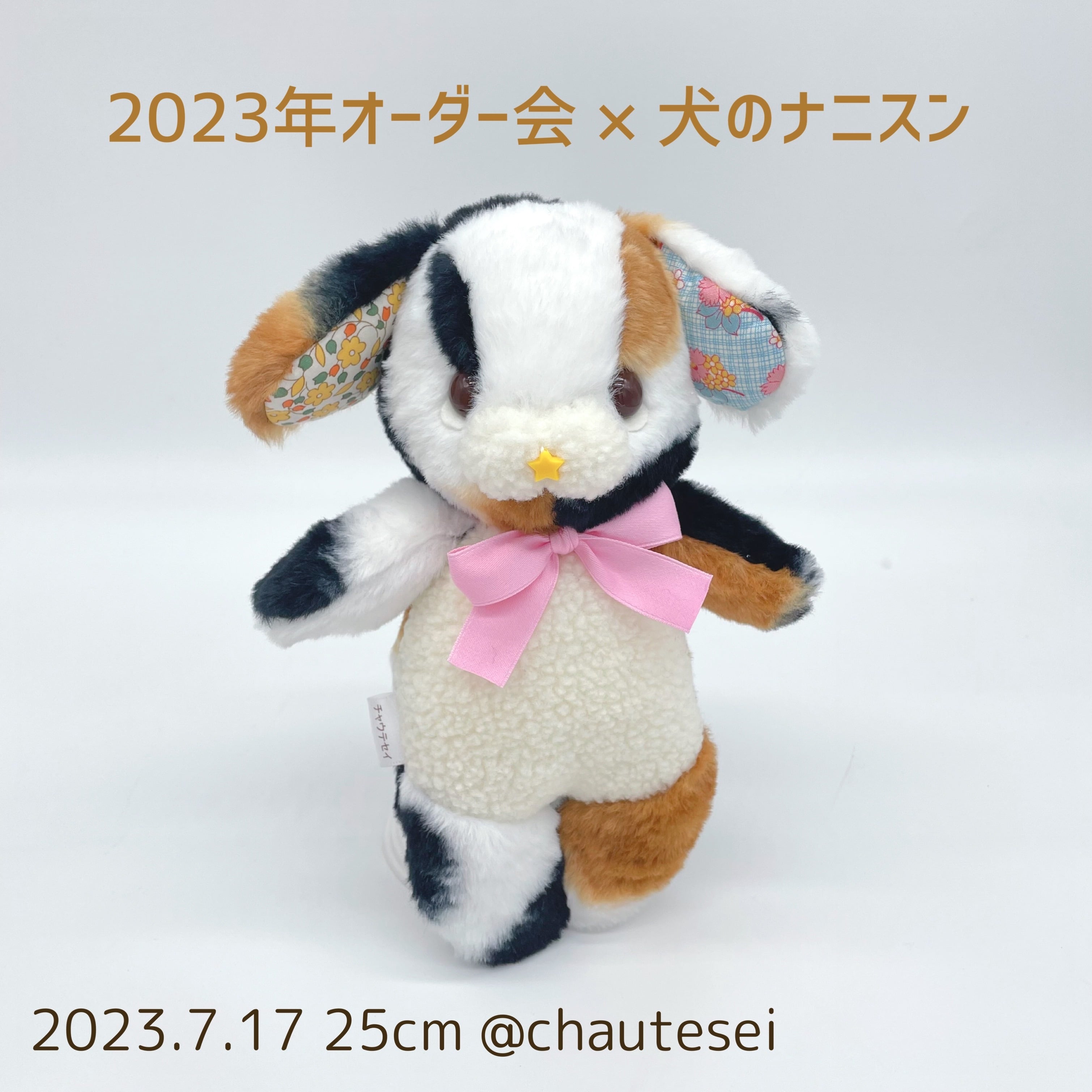 チャウテセイ